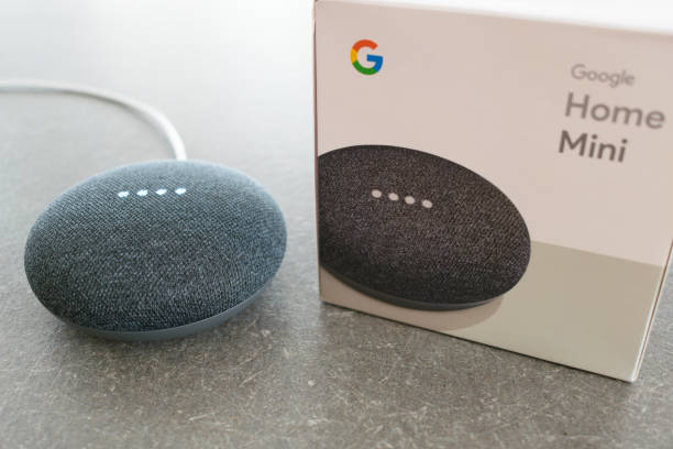 Google and Alexa