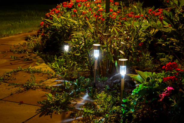 Transform Your Garden with Smart Irrigation and Lighting