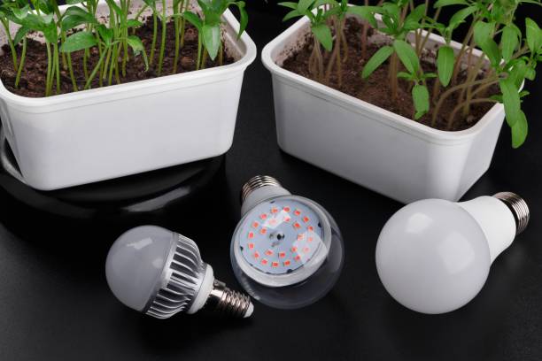 Smart Bulbs vs. Traditional LED Bulbs