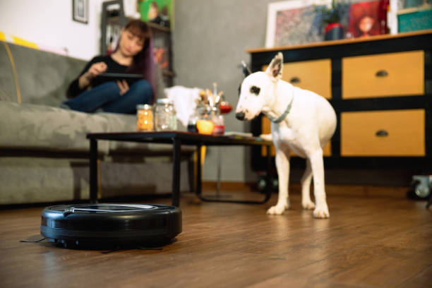 Tips for a Pet-Friendly Smart Home for Dogs