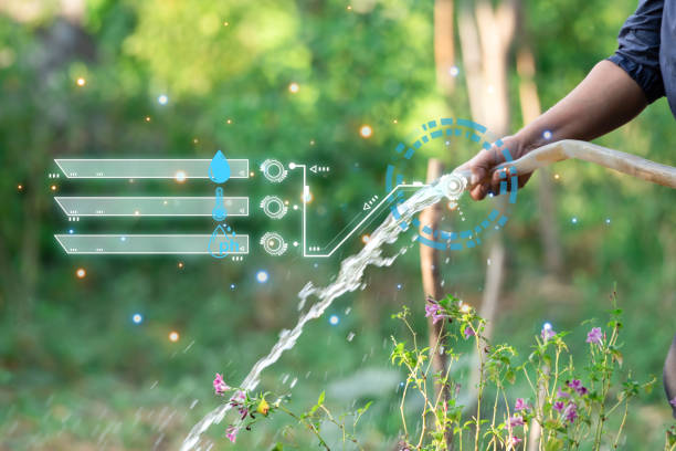 Transform Your Garden with Smart Irrigation and Lighting