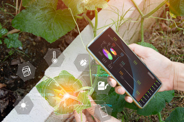 Transform Your Garden with Smart Irrigation and Lighting