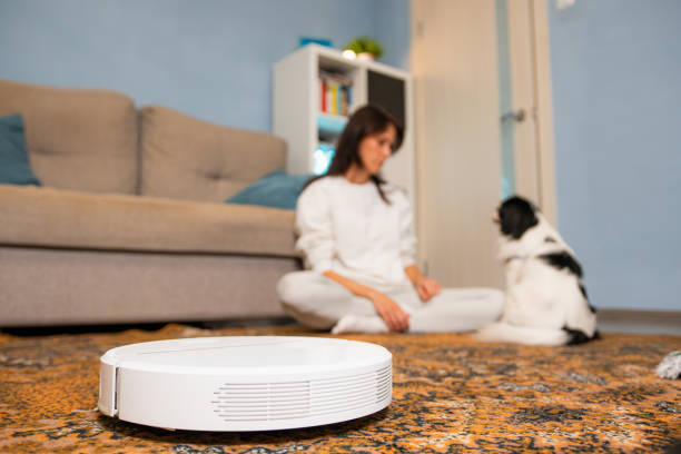 Tips for a Pet-Friendly Smart Home for Dogs