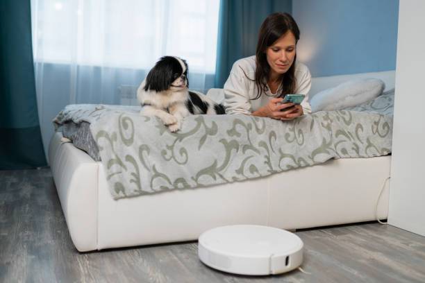 Tips for a Pet-Friendly Smart Home for Dogs