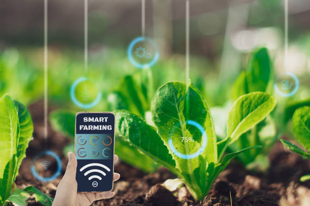 Transform Your Garden with Smart Irrigation and Lighting